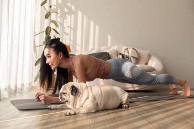 Spor giyinen Asyalı bir kadın evde tatlı bir köpekle yoga yapıyor, sağlıklı bir yaşam tarzı, akıl sağlığı konsepti..