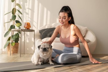 Spor giyinen Asyalı bir kadın evde tatlı bir köpekle yoga yapıyor, sağlıklı bir yaşam tarzı, akıl sağlığı konsepti..