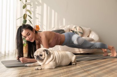 Spor giyinen Asyalı bir kadın evde tatlı bir köpekle yoga yapıyor, sağlıklı bir yaşam tarzı, akıl sağlığı konsepti..