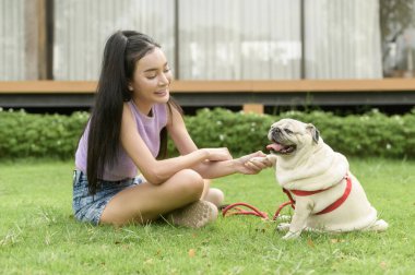 Mutlu Asyalı kadın arka bahçede sevimli akıllı köpek yavrusuyla oynuyor.