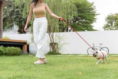 Mutlu Asyalı kadın arka bahçede sevimli akıllı köpek yavrusuyla oynuyor.
