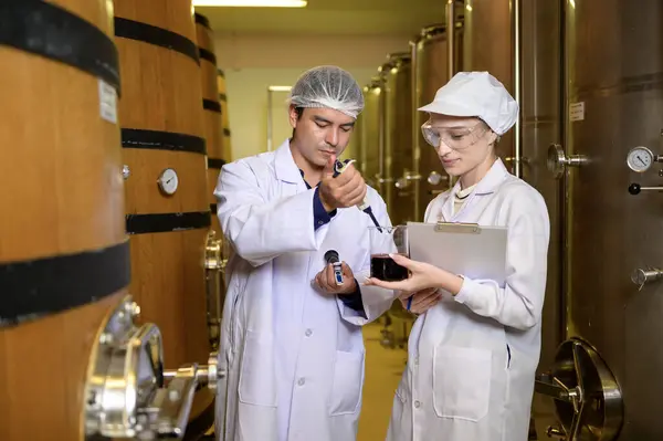 stock image Professional winemaker controlling wine making process and quality at winery factory