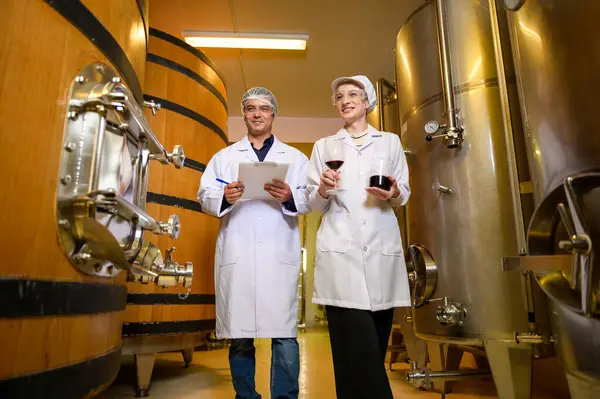 stock image Professional winemaker controlling wine making process and quality at winery factory