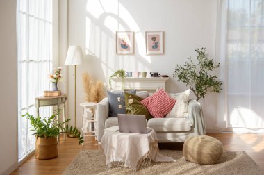 Rahat bir yaşam alanı rahat bir kanepe, saksı bitkileri ve duvarlarda sanat eserleri barındırır..