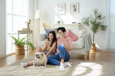 Bir çift köpekleri ile yerde dinlenir, güneşli bir odada hafif bir kahvaltı yaparlar..