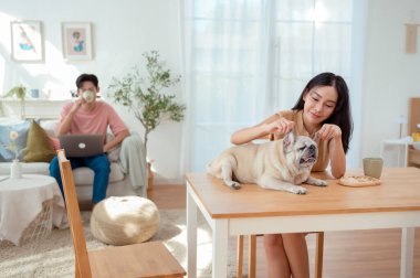 Genç bir çift, köpekleriyle bir kanepede rahatlar. Parlak bir yaşam alanında keyifli anlar paylaşırlar..