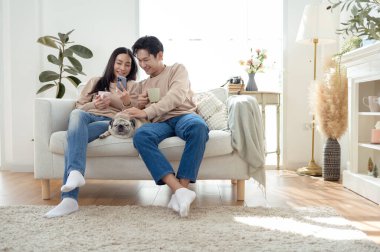 Genç bir çift, neşeli köpekleriyle vakit geçirir. Parlak, bitki dolu bir oturma odasında..