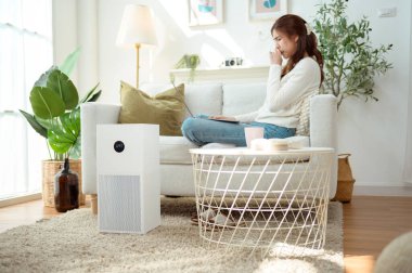 Kanepede oturan bir kadın dizüstü bilgisayarı üzerinde çalışırken hava temizleyicisini çalıştırıyor..