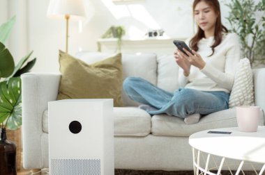 Kanepede oturan bir kadın dizüstü bilgisayarı üzerinde çalışırken hava temizleyicisini çalıştırıyor..