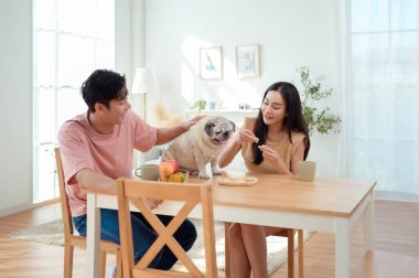 Genç bir çift, köpekleri ile birlikte aydınlık ve neşeli bir odada kahvaltıdan zevk alır..