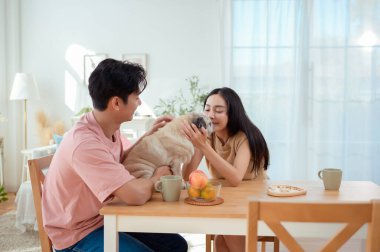 Genç bir çift, köpekleri ile birlikte aydınlık ve neşeli bir odada kahvaltıdan zevk alır..