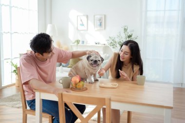 Genç bir çift, köpekleri ile birlikte aydınlık ve neşeli bir odada kahvaltıdan zevk alır..
