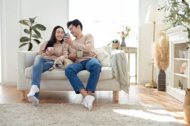 Genç bir çift, neşeli köpekleriyle vakit geçirir. Parlak, bitki dolu bir oturma odasında..