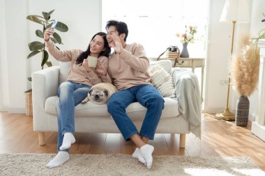 Genç bir çift, neşeli köpekleriyle vakit geçirir. Parlak, bitki dolu bir oturma odasında..