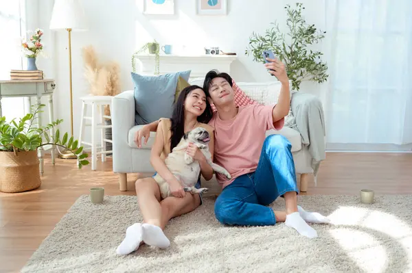 Genç bir çift, neşeli köpekleriyle vakit geçirir. Parlak, bitki dolu bir oturma odasında..