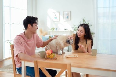 Genç bir çift, köpekleri ile birlikte aydınlık ve neşeli bir odada kahvaltıdan zevk alır..