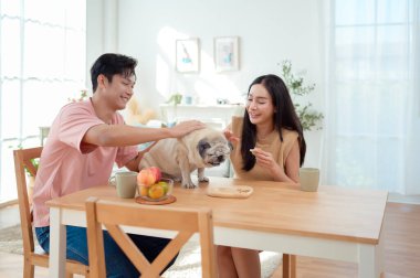 Genç bir çift, köpekleri ile birlikte aydınlık ve neşeli bir odada kahvaltıdan zevk alır..