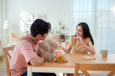Genç bir çift, köpekleri ile birlikte aydınlık ve neşeli bir odada kahvaltıdan zevk alır..