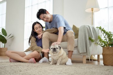 Köpekleri ile oynarlarken gülümseyen bir çift güzel ışıklandırılmış bir oturma odasında yumuşak bir halıda.