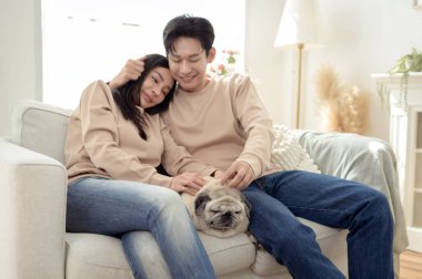 Köpekleri ile oynarlarken gülümseyen bir çift güzel ışıklandırılmış bir oturma odasında yumuşak bir halıda.