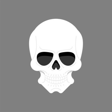 Anatomik kafatası izole edildi. iskelet baş Vektör illüstrasyonu