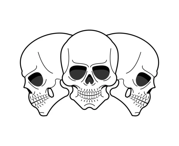 Crâne Anatomique Isolé Squelette Tête Illustration Vectorielle — Image vectorielle