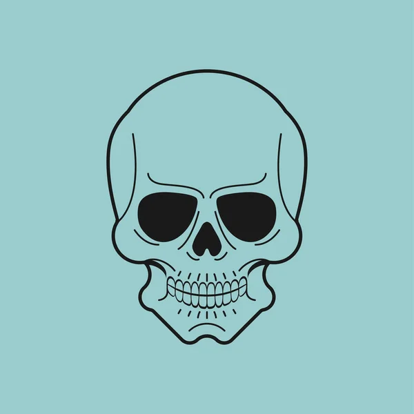 Cráneo Anatómico Aislado Esqueleto Cabeza Vector Ilustración — Vector de stock