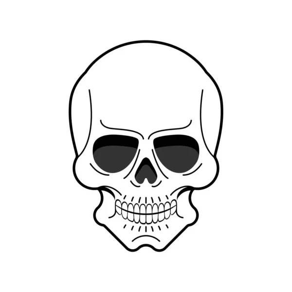 Ανατομικό Κρανίο Απομονωμένο Απεικόνιση Διάνυσμα Κεφαλής Σκελετού — Διανυσματικό Αρχείο