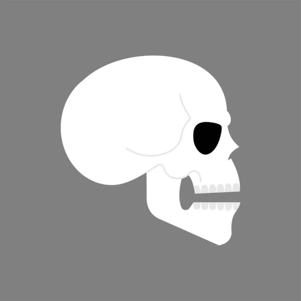 Anatomische Schedel Geïsoleerd Skelet Hoofd Vector Illustratie — Stockvector