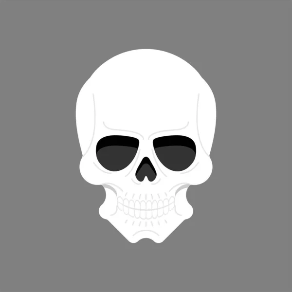 Ανατομικό Κρανίο Απομονωμένο Απεικόνιση Διάνυσμα Κεφαλής Σκελετού — Διανυσματικό Αρχείο