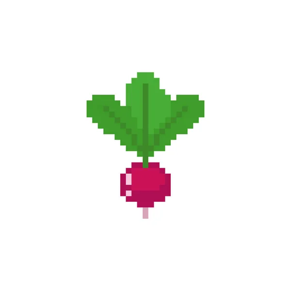 Radis Pixel Art Des Plantes Potagères Bits Illustration Vectorielle Pixellisée — Image vectorielle