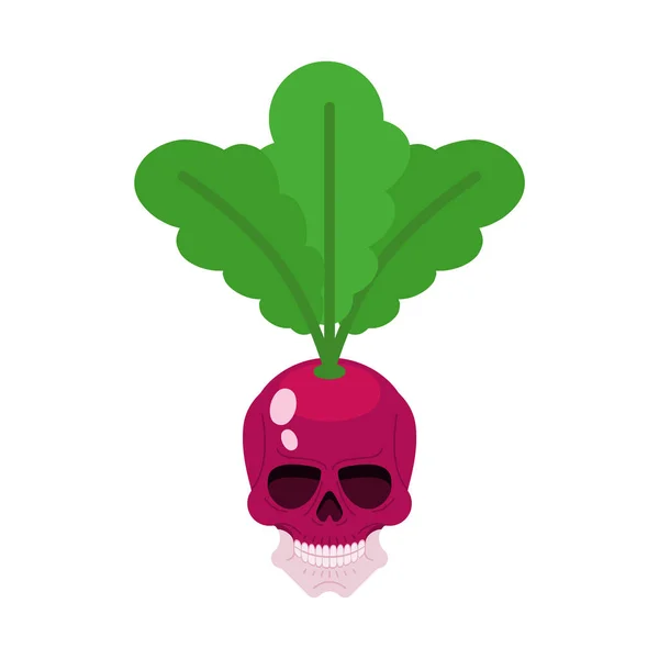 Scull Radish Aislado Esqueleto Cabeza Vegetal Jardín Planta Vector Ilustración — Vector de stock