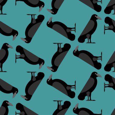 Kara Karga Düzeni kusursuz. Siyah karga geçmişi. Ölümün sembolü