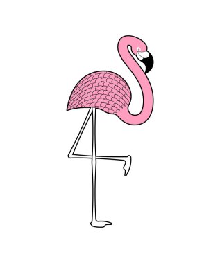 Pembe flamingo izole edilmiş. Soluk pembe tüylü su kuşu