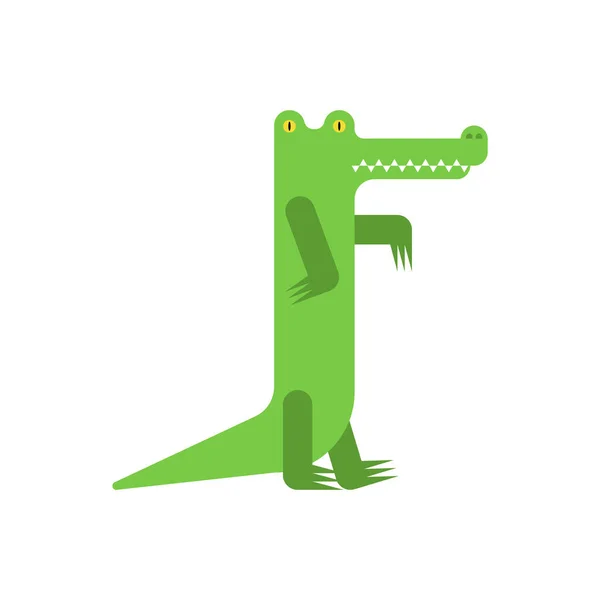 Crocodilo Cartoon Isolado Crocodilo Jacaré Vector Ilustração —  Vetores de Stock