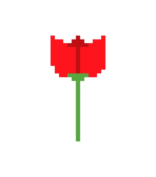 Tulp Rode Bloem Pixel Kunst Bit Vectorillustratie — Stockvector