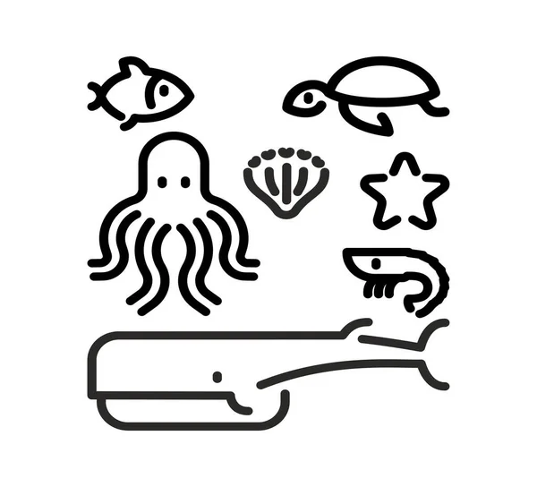 Морские Животные Устанавливают Линейную Символику Осьминог Черепаха Рыба Креветки Кит — стоковый вектор