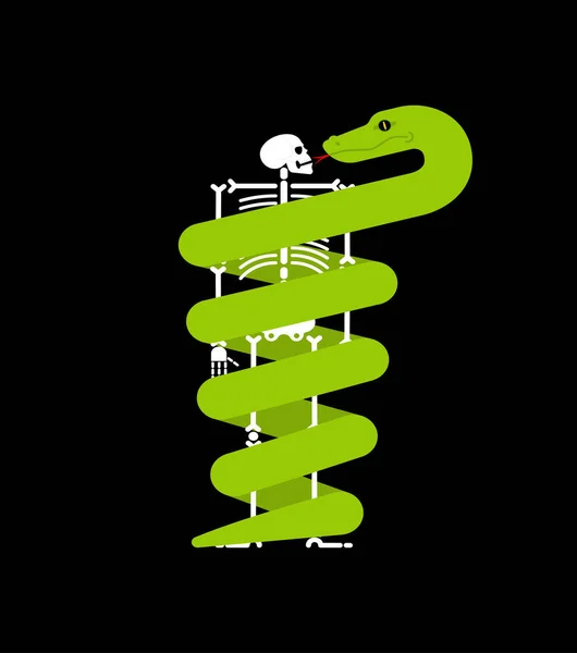 Kígyó Csontváz Köré Csavarva Vektorillusztráció — Stock Vector