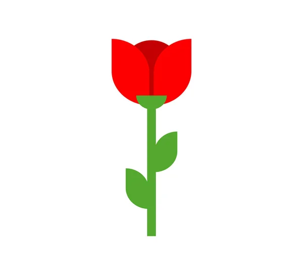 Tulp Rode Bloem Geïsoleerd Vectorillustratie — Stockvector