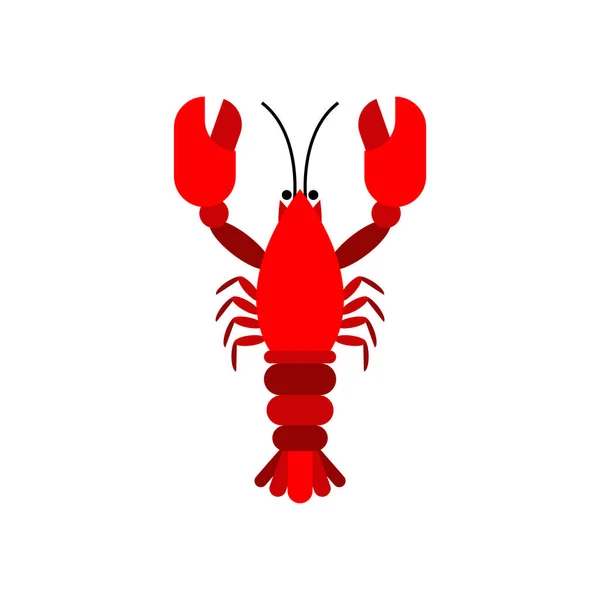 Red Crayfish Isolated Sea Animal Claws — Stock Vector