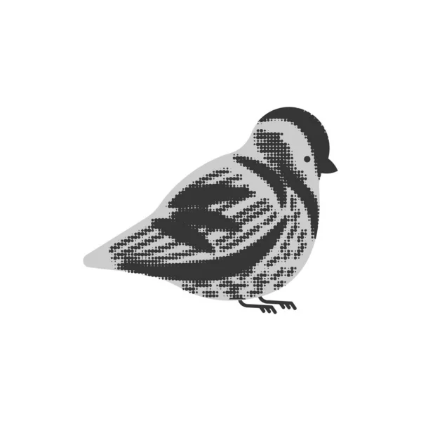 Vrabec Izolován Vektorová Ilustrace Malého Ptáka — Stockový vektor