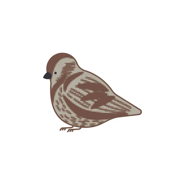 Wróbel Odizolowany Mały Ptak Wektor Ilustracja — Wektor stockowy