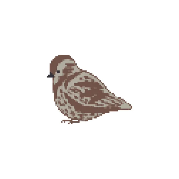 Sparrow Pixel Art Bit Small Bird Vector Illustration — Stock Vector