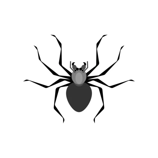 Spider Geïsoleerd Giftig Gevaarlijk Insect Vectorillustratie — Stockvector