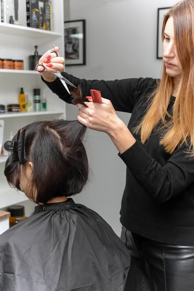 hairdresser doing a haircut for a client in the salon