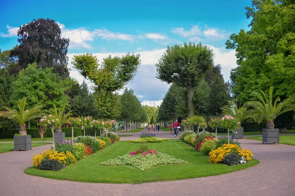 Vacker Park Sommaren Med Blommor Och Fontäner Vacker Natur — Stockfoto