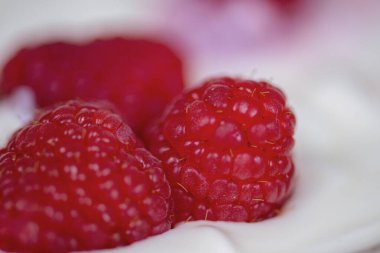 Taze ahududulu yoğurt, makro, sağlıklı kahvaltı. Yüksek kalite fotoğraf