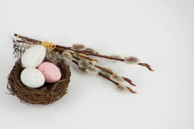 Mutlu Paskalyalar, beyaz arka planda söğüt dalları olan bir yuvadaki yumurtalar. Yüksek kalite fotoğraf