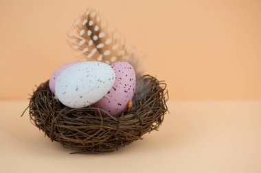 Yuvada renkli paskalya yumurtaları ve yazı için yeri var. Yüksek kalite fotoğraf