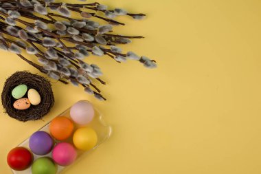 happy easter, eggs in the nest and willow, easter background. High quality photo clipart